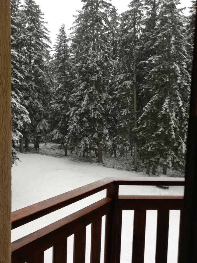 Hq Apartments Villa Park Borovets Bagian luar foto